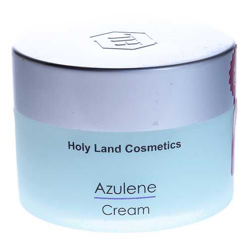 Крем для лица Holy Land Azulene Day Cream 250 мл в Магнит Косметик